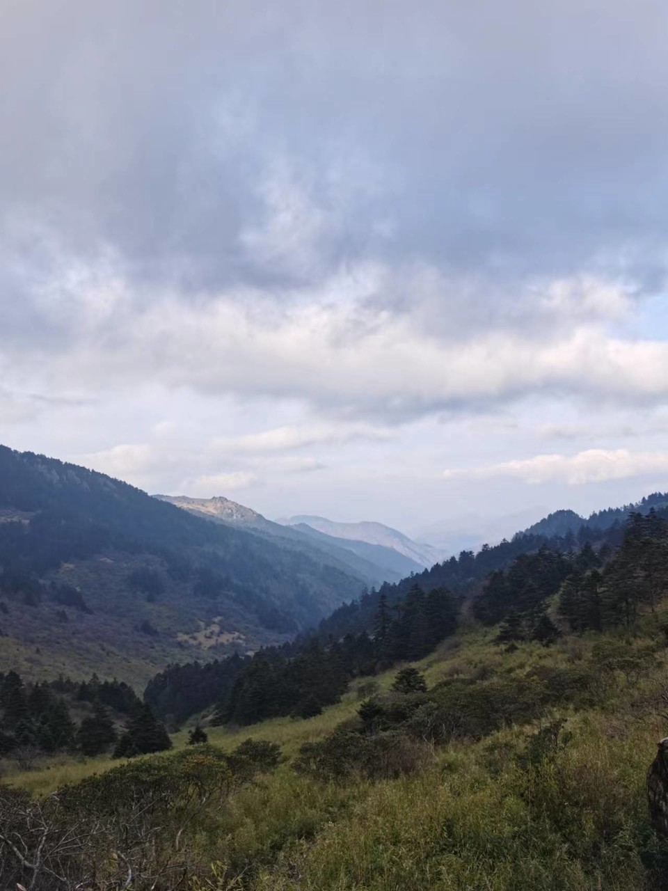 VvMI1M3Ivd-ailY-YURaJT2SAWE_1WHiSH3EWP4lje2fiUKQNM4ZGXPGm2EIwDgE