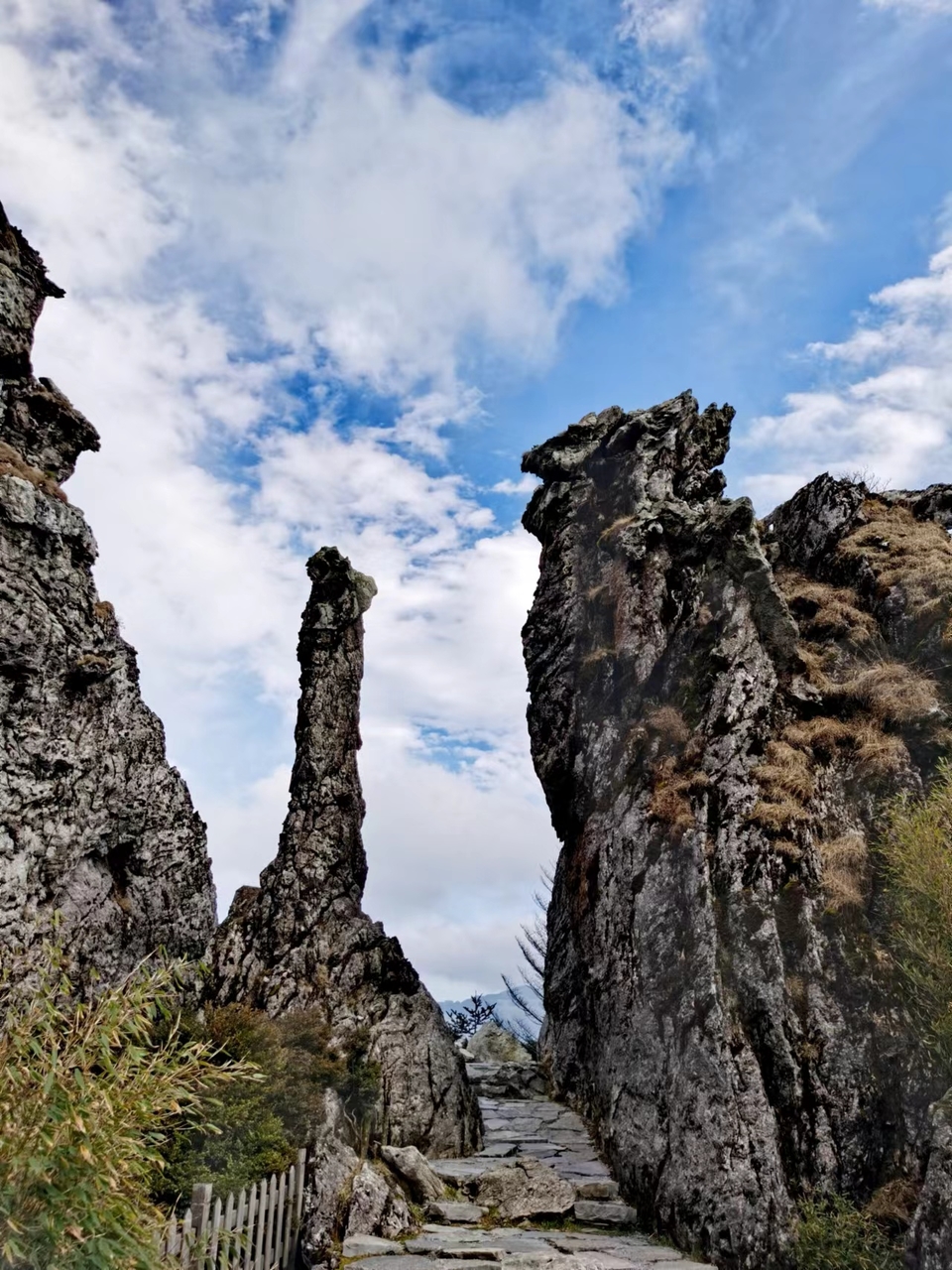 VvMI1M3Ivd-ailY-YURaJYVXuUMpmV5ALOqnB9wiMm4Ck8QAGhmos-GSJLFocoue