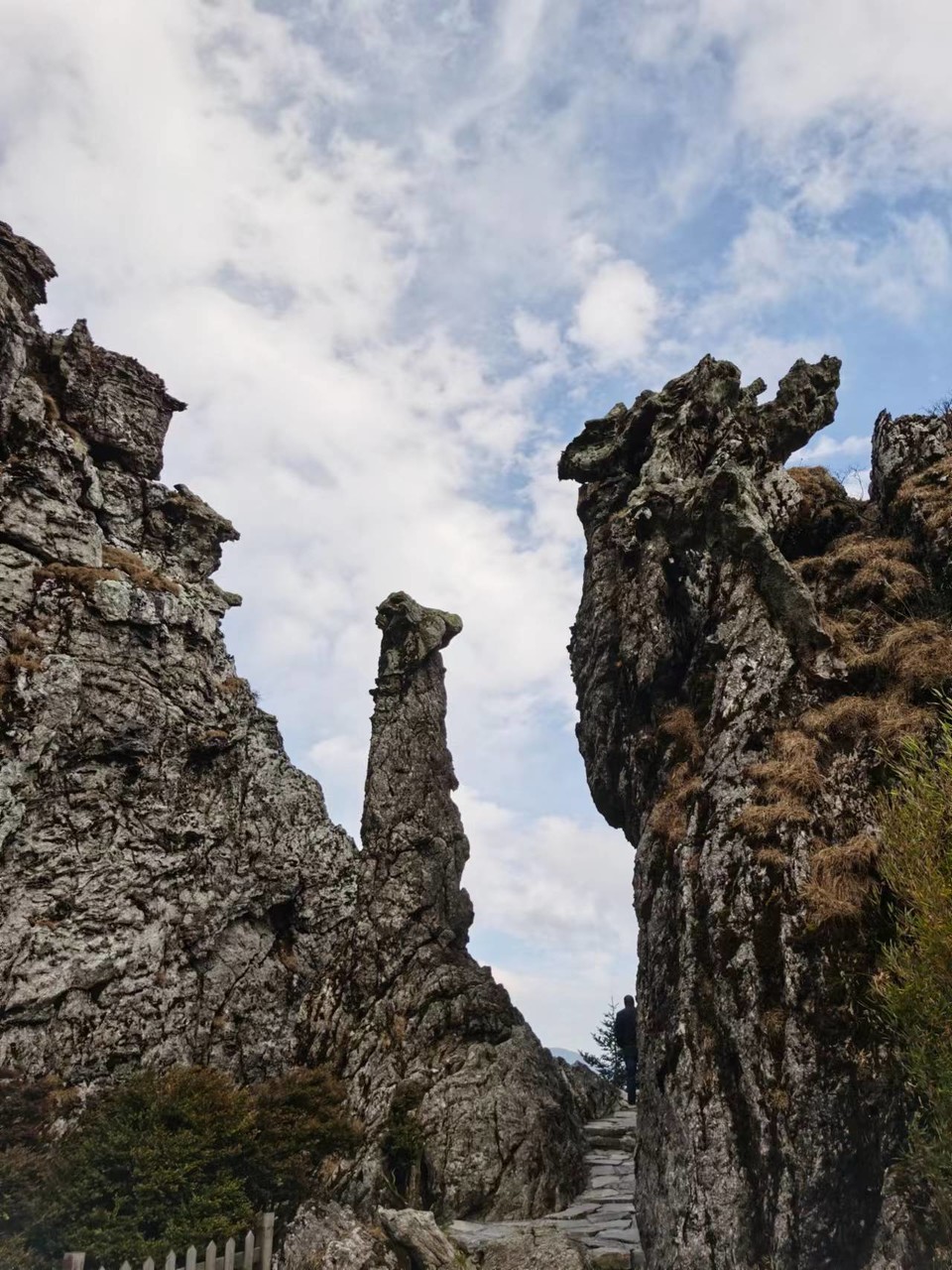 VvMI1M3Ivd-ailY-YURaJRTnTgbX3mQTe4MA0BLl0y4MmsxNvOI-_zL2BpFv8zTi