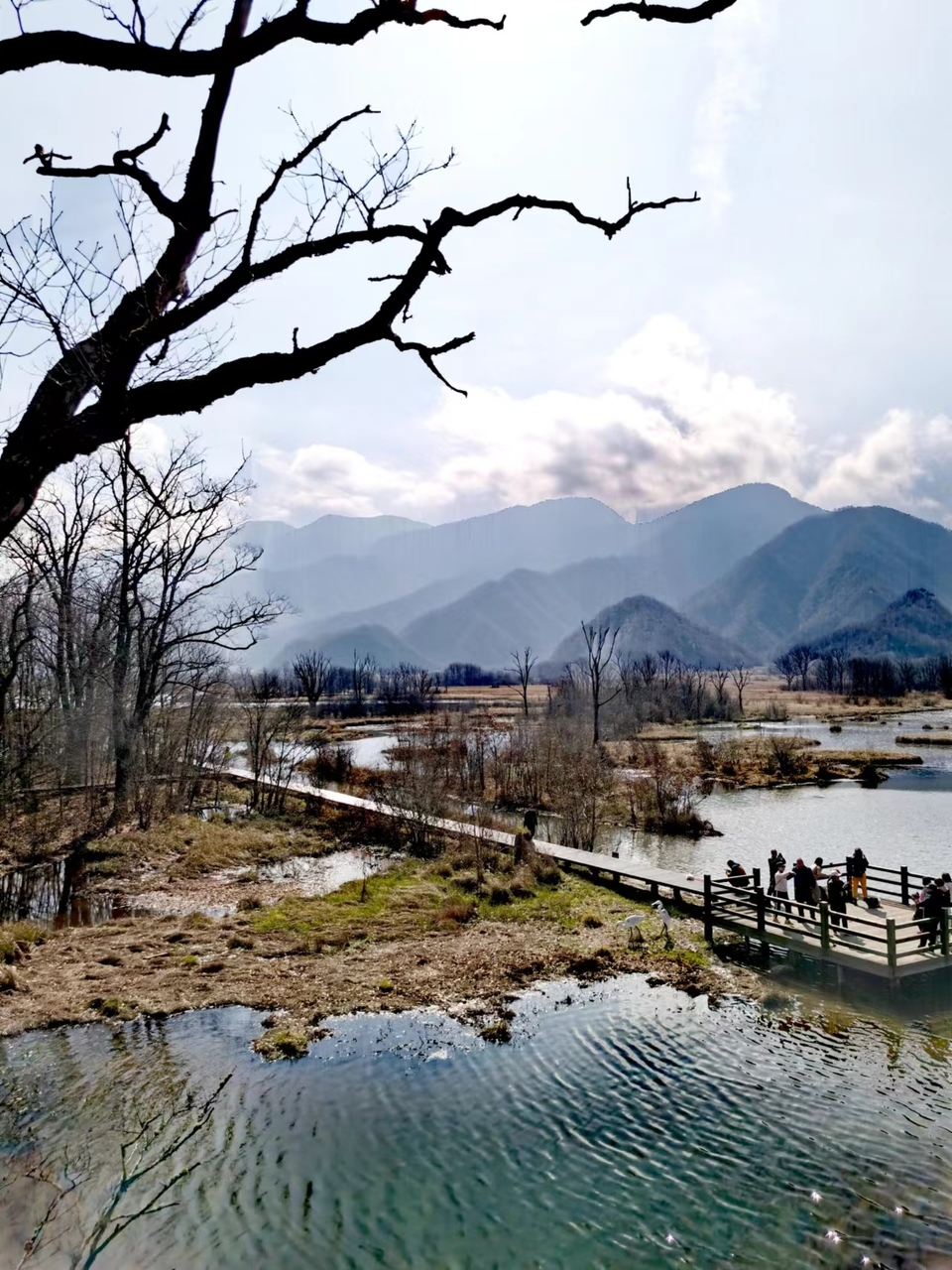 VvMI1M3Ivd-ailY-YURaJZkP7JtJvErJ2_J5riEQKctpFrAMiz-Zn8oMjT7koIcR