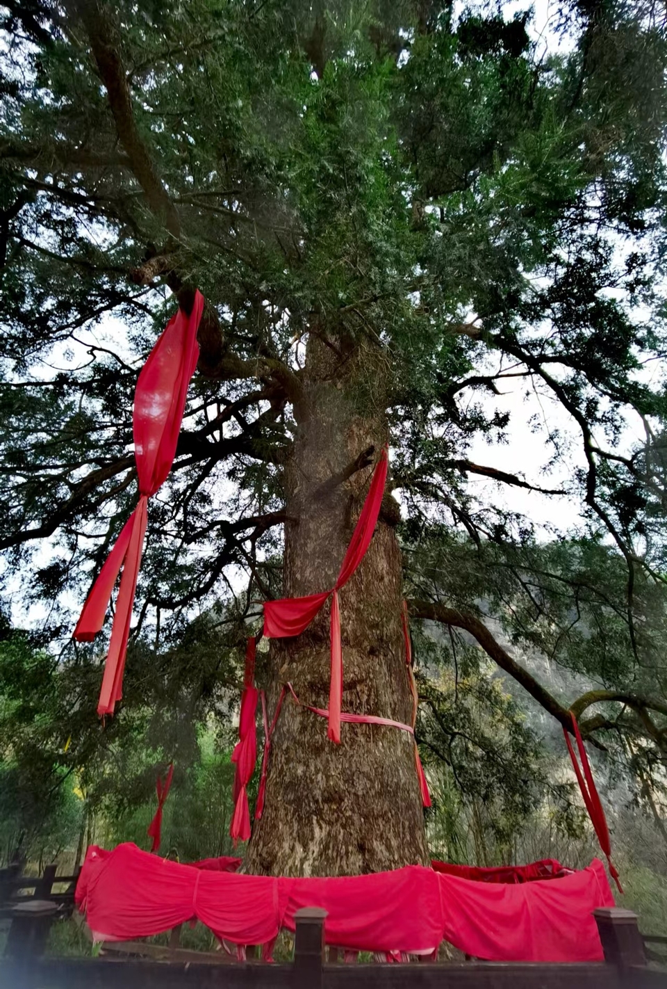 VvMI1M3Ivd-ailY-YURaJSaitTZjl6ZU47B1NSSYi6GcA0hM9FMgmhDcc5vnYH-O