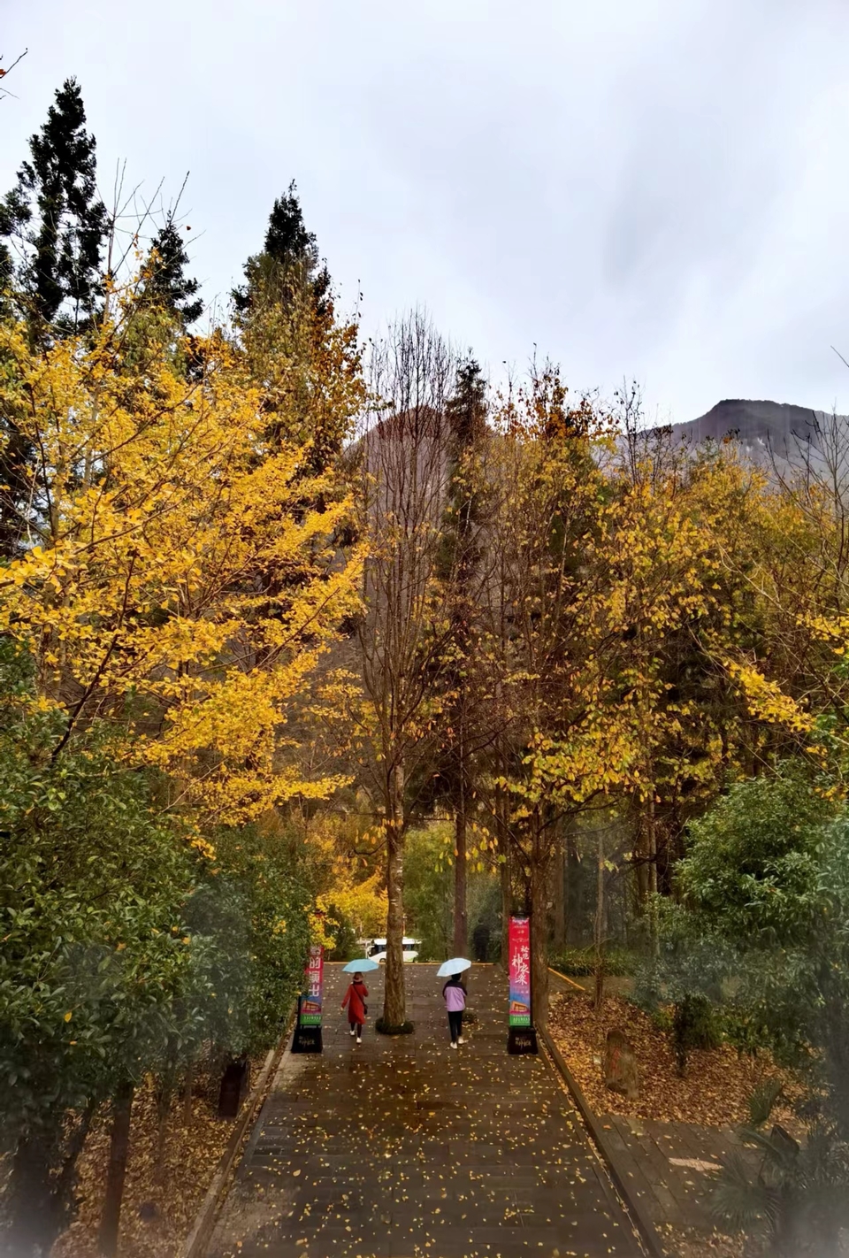 VvMI1M3Ivd-ailY-YURaJeFLcrPWcXYTzFbo_kMjdIL4q-NatrCh-Yw3cRHFt9Cr