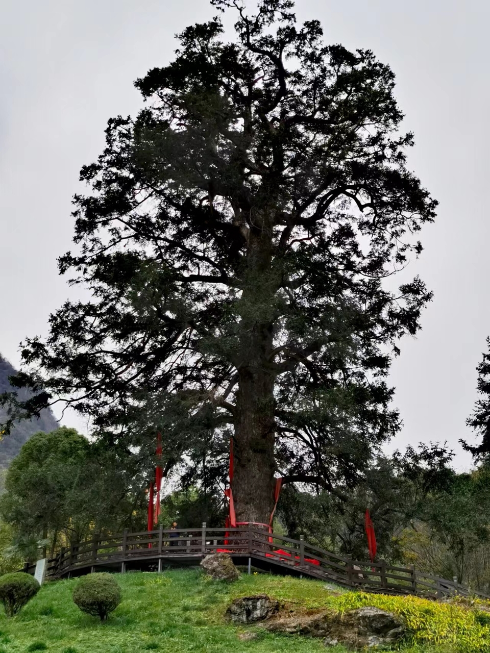 VvMI1M3Ivd-ailY-YURaJV2K09neNukS7uqW1Ug1cg7DZ5vlJFd9OrNX9bGCosg2