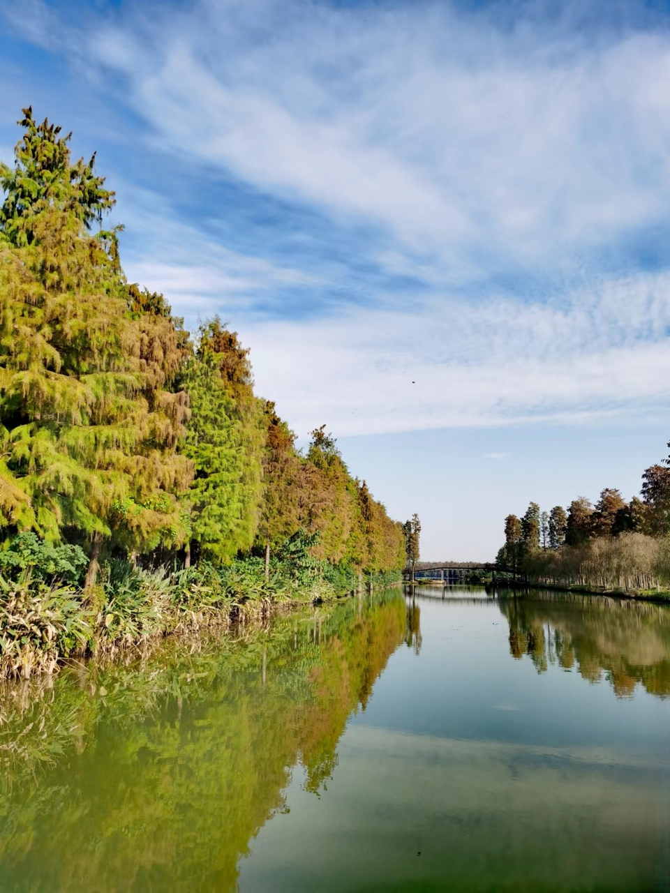 tUCYZYYOi243X8Qn1iJumyClJ90L4mR-kvjEMNrdZ4awimpPUpe-HKFu17TamuPX