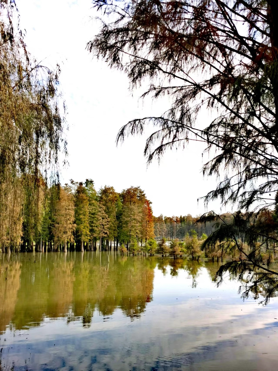 tUCYZYYOi243X8Qn1iJumypgzPl6FpzWO1mqcnaO3gTH1GEaoWxuVLkW0eCTIuWi