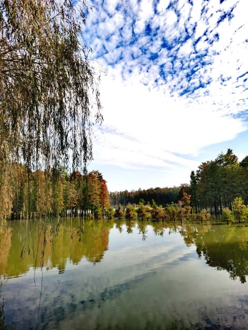 tUCYZYYOi243X8Qn1iJum1ebvYrERjDH2t9KdDLkGPvza2BzX8wnntRW5tgymL4z