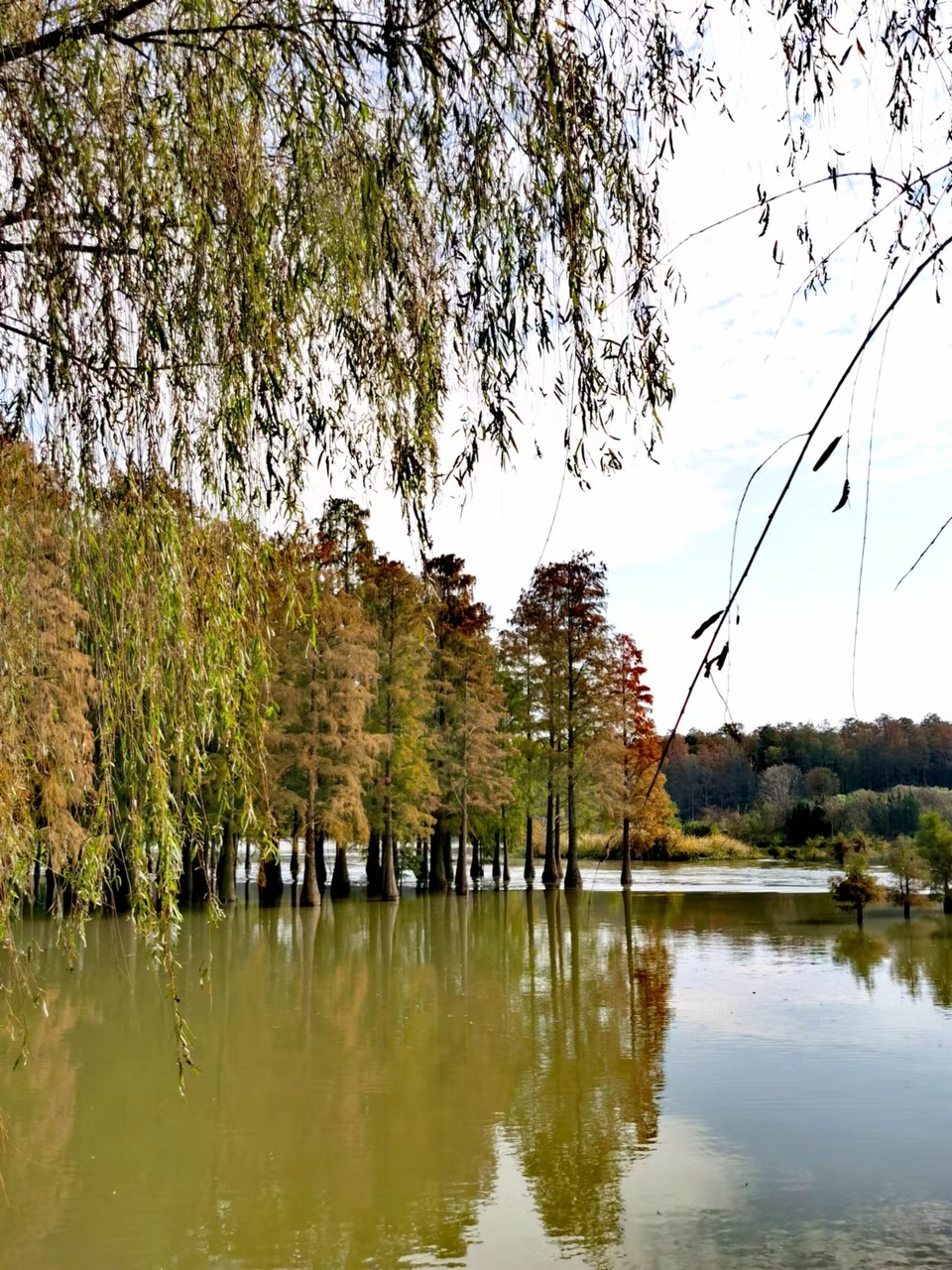 tUCYZYYOi243X8Qn1iJum_qOKHgLvETWQNAPJ7_z-IMZdeZLDN8ewSvrE9Ecn_wh