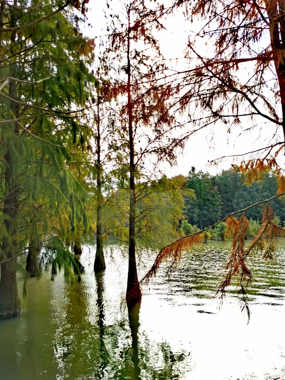 tUCYZYYOi243X8Qn1iJum9YLN6X1VG6zanQnVODZPNS8rGkqXiPZxfOulo_Fu6CW