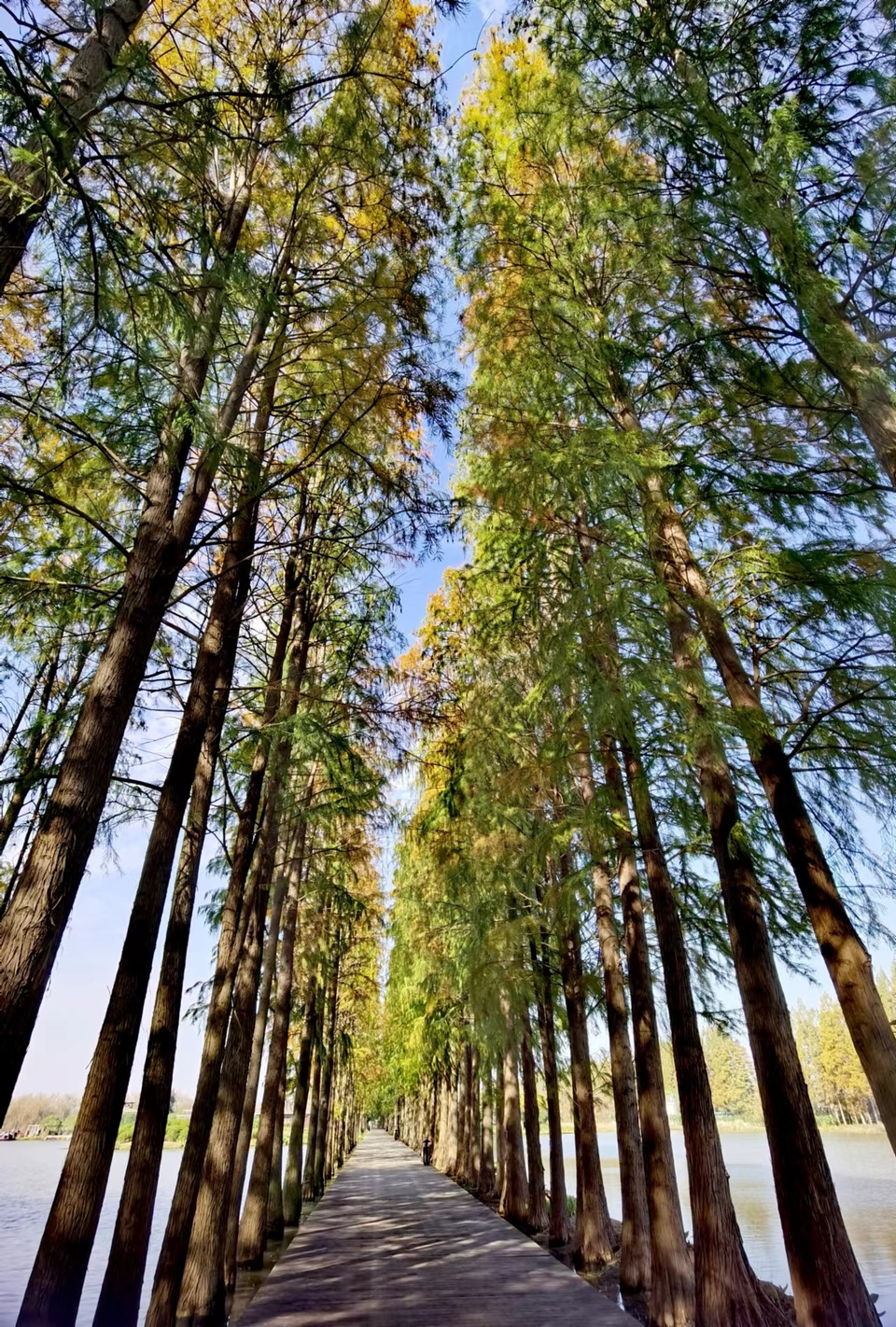 tUCYZYYOi243X8Qn1iJum3XAknNz81lGRSAGS-JD-hMKRiYkJQGSwFsIeKEC0wgW