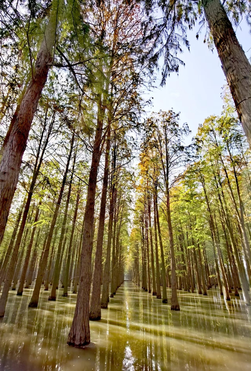 tUCYZYYOi243X8Qn1iJum8zI7L12zo7Nvf_VmzZFwC4JT5fgirAJkyXV6OMEsEPg