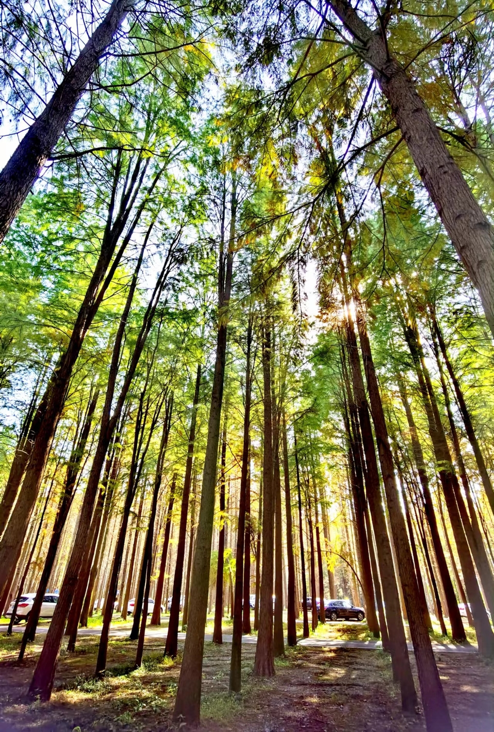 tUCYZYYOi243X8Qn1iJum43IkZ3tuG-N4MhEeNk49l5r1uNU6YjD1Uq24foAUHzK