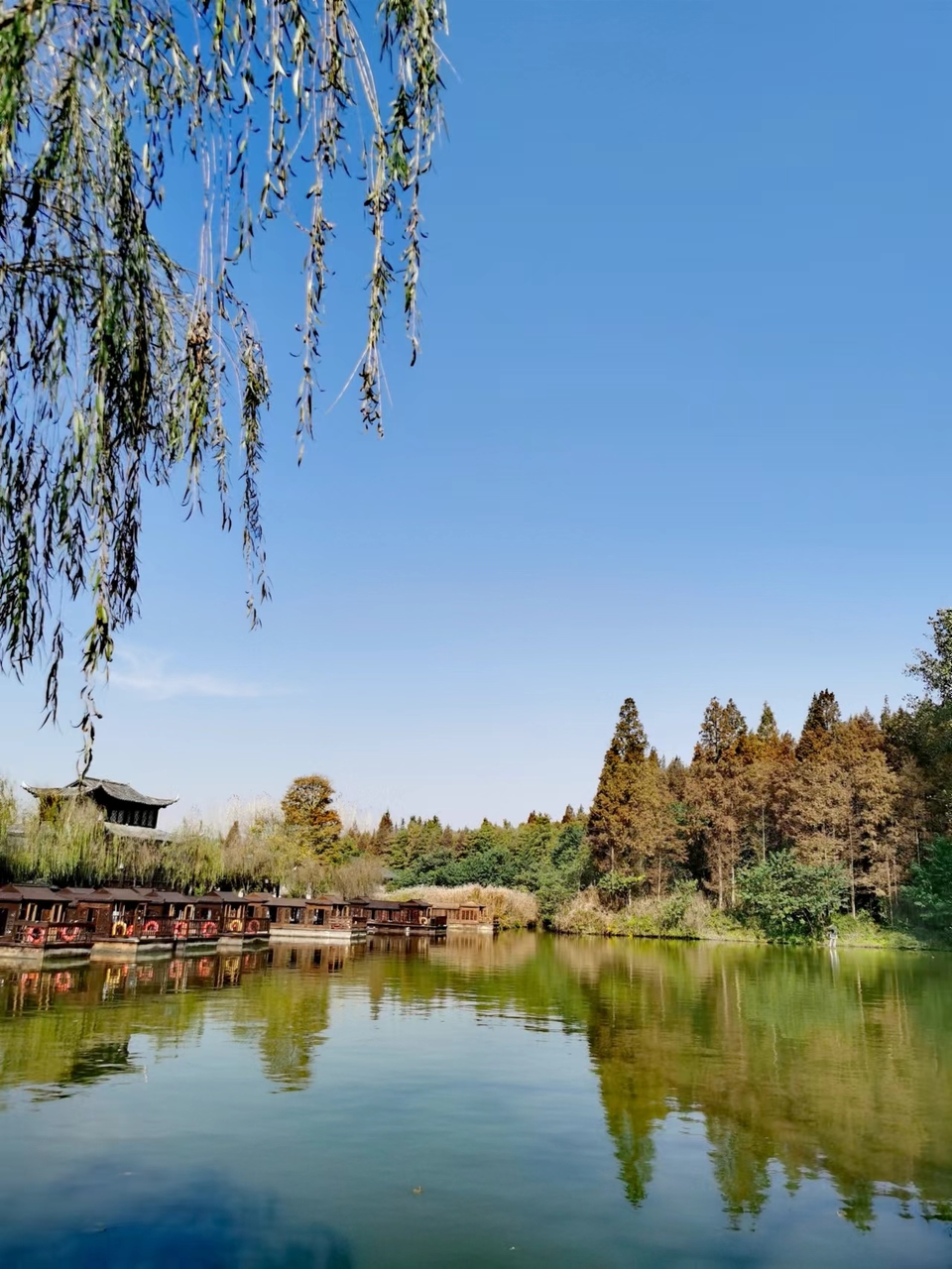 tUCYZYYOi243X8Qn1iJum8f1KN6_VSvXUBL1RPBIuEWhLkE1Pfac8CWKSN5DXekJ