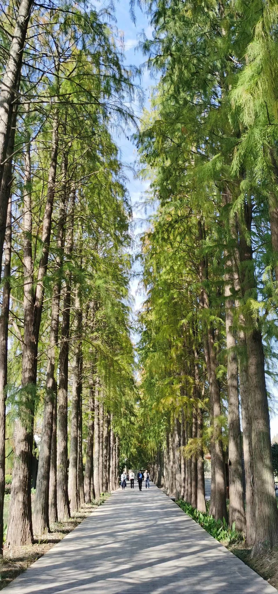 tUCYZYYOi243X8Qn1iJum7YuL9KtdoPfKG5XsxeKLPh68gJfWxpvk_-zWF74M18t