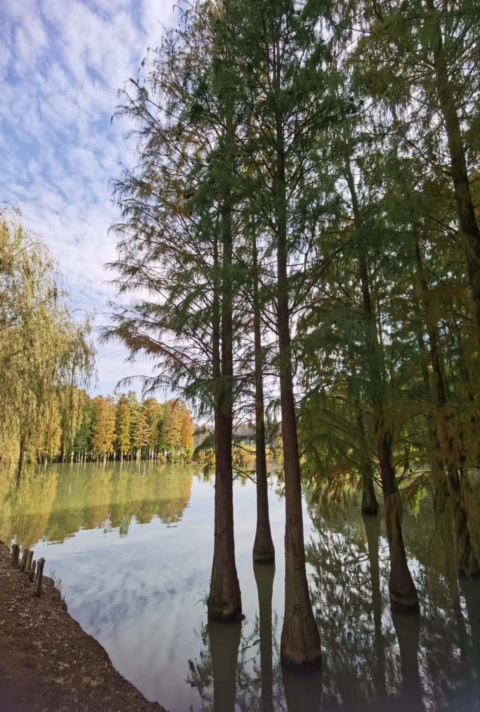 tUCYZYYOi243X8Qn1iJum3IvDwoB8SHKCZCTi_NoYIXLxJTZ6CvVdtu0-Dt24WGB