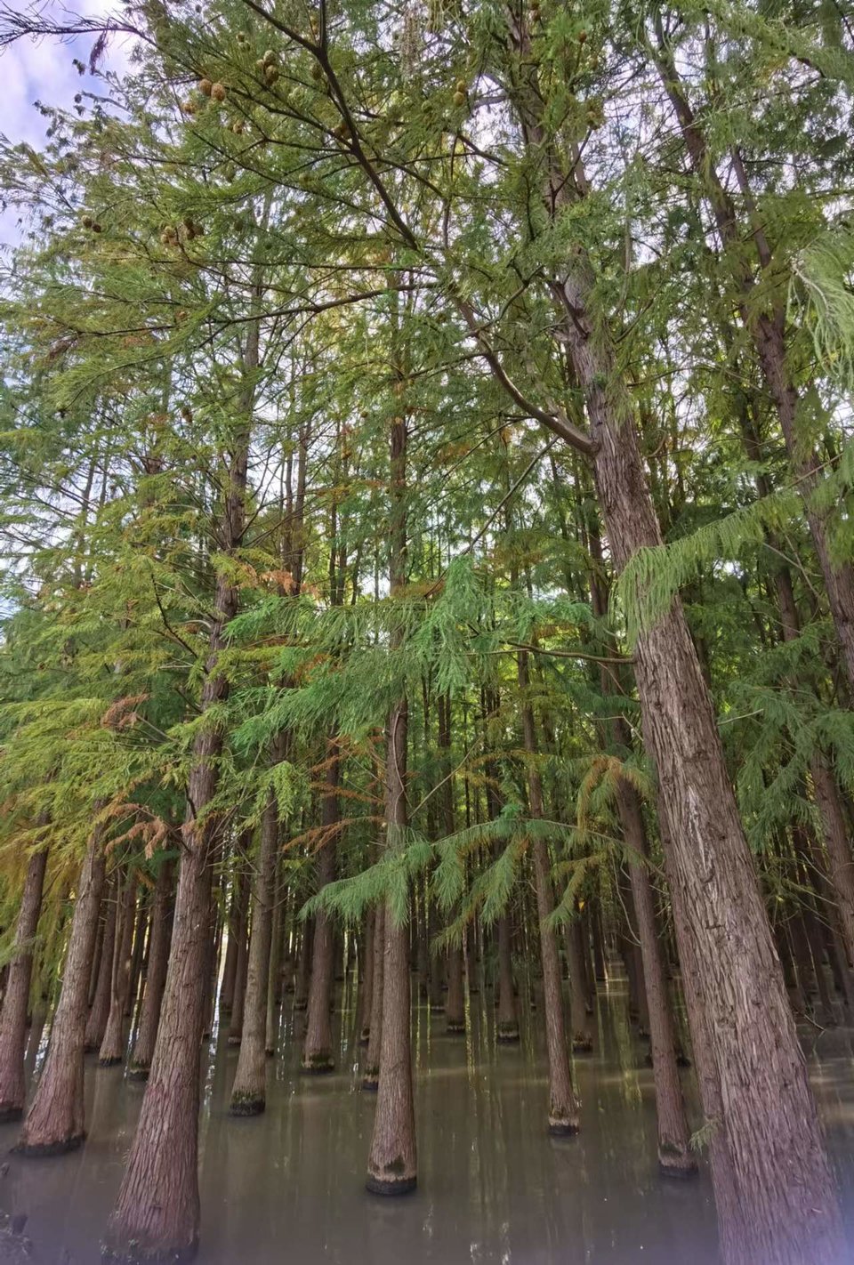 tUCYZYYOi243X8Qn1iJumztoTaoL7BZtFMz9HDakpPTd2zyJfzObJQ_YWO__gjdI