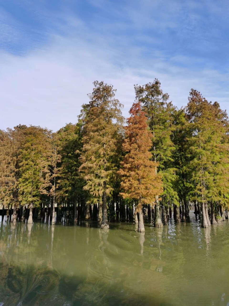 tUCYZYYOi243X8Qn1iJum_W2K7cqgAuqgLF-E3OtUovhQD0RRQXZgIvo_C00nRvE