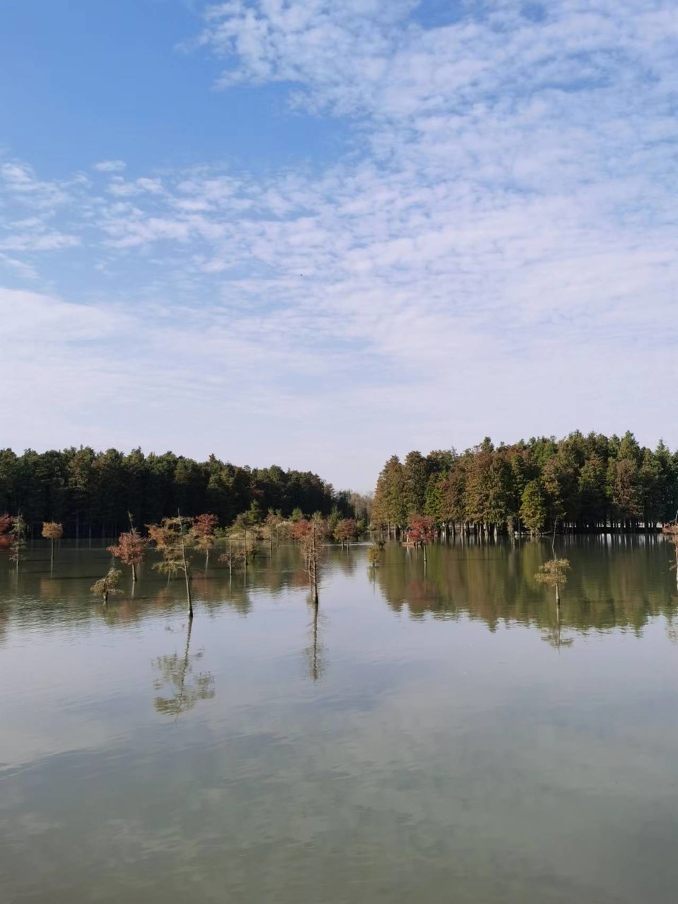 tUCYZYYOi243X8Qn1iJumwSnNKZS-weaVkPjGChBSYNdCCGnm7O_BaWf-XxDTAWv