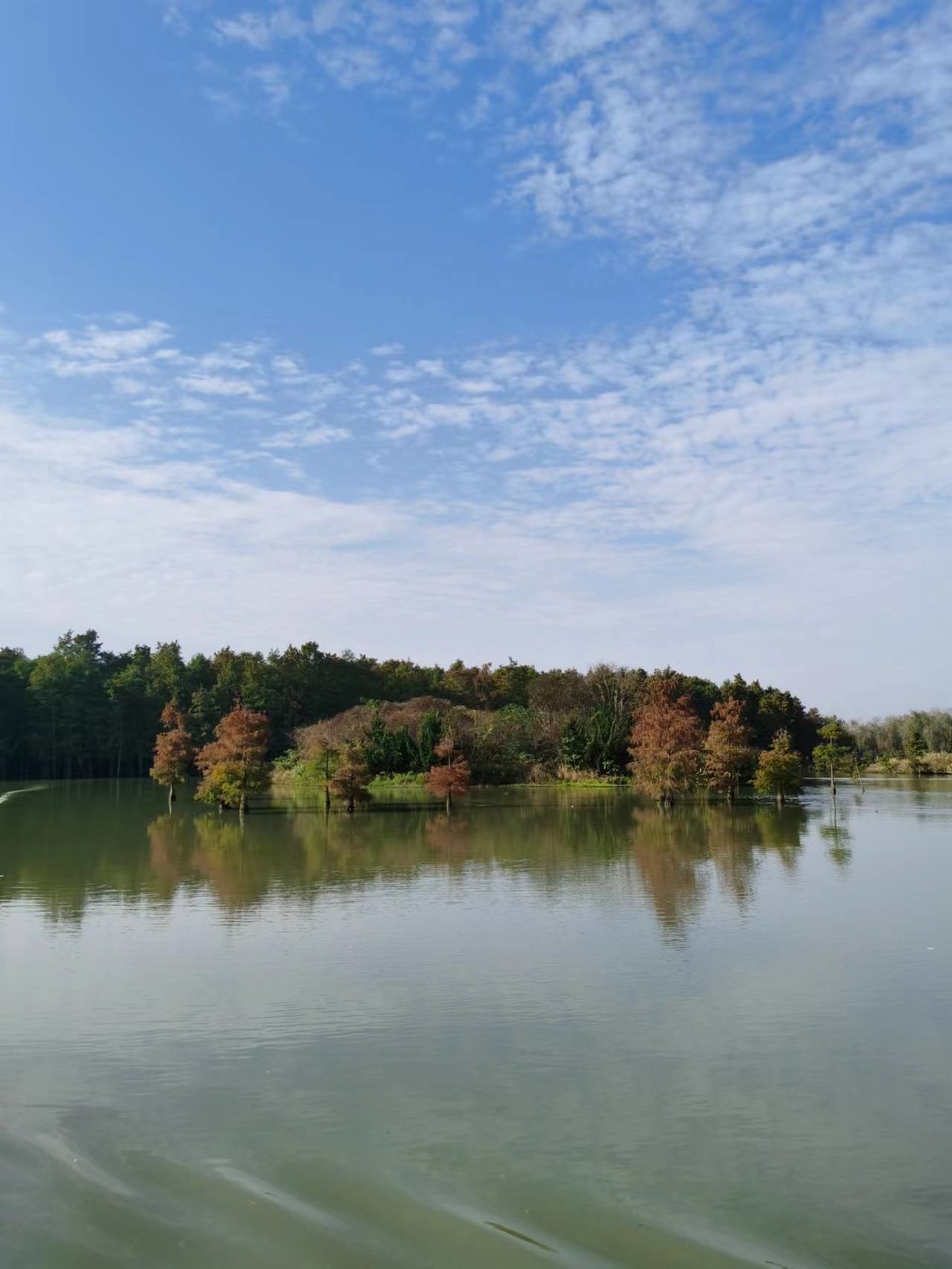 tUCYZYYOi243X8Qn1iJumxF_fw0EcT0GENJo1dmV0S3t_Cnn8QJs6ECKGQFV5zXn