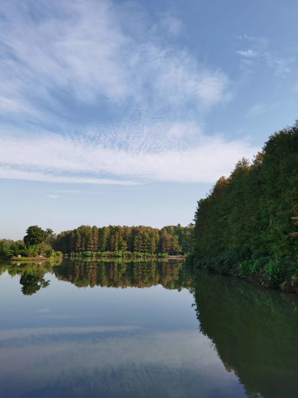 tUCYZYYOi243X8Qn1iJumyrOfvZrj4TzIBPPqHpGK2g1s9YVNcN6QeIep01bvhE6