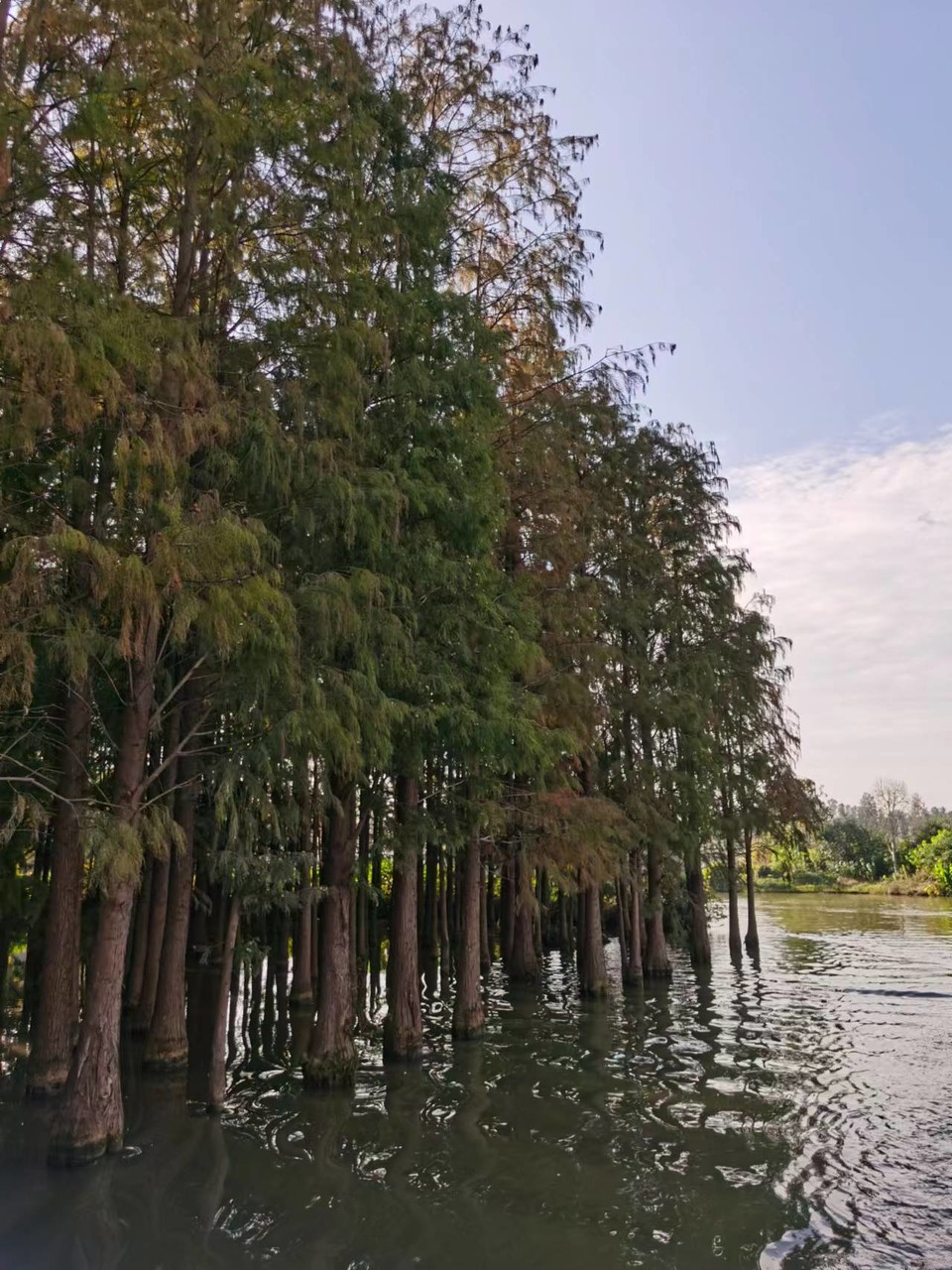 tUCYZYYOi243X8Qn1iJum_uOh5GZH_WG58SFikRR8vcWolWX3Hv3uIbh3gBgZS6z