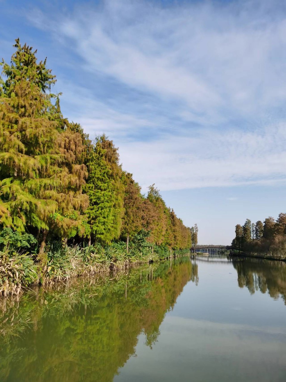 tUCYZYYOi243X8Qn1iJum5DCliEB8XaWWfqswCnC5qi-2XmX6FaNJRPhp1a0yJ4L