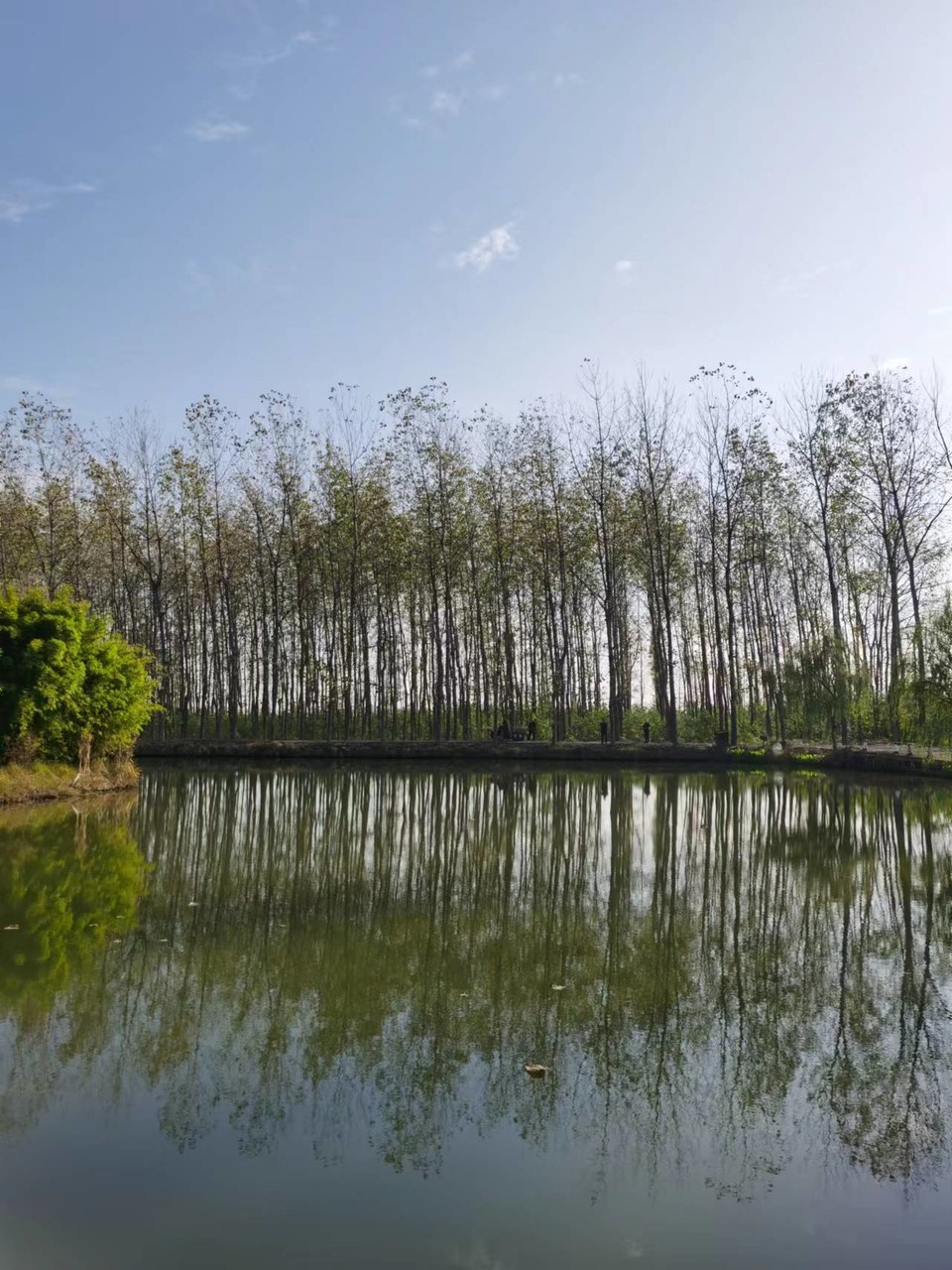 tUCYZYYOi243X8Qn1iJumzEubZhHewkRK4O7kVAvVHkg6gz8zcsfrqjzDPJWbPTS