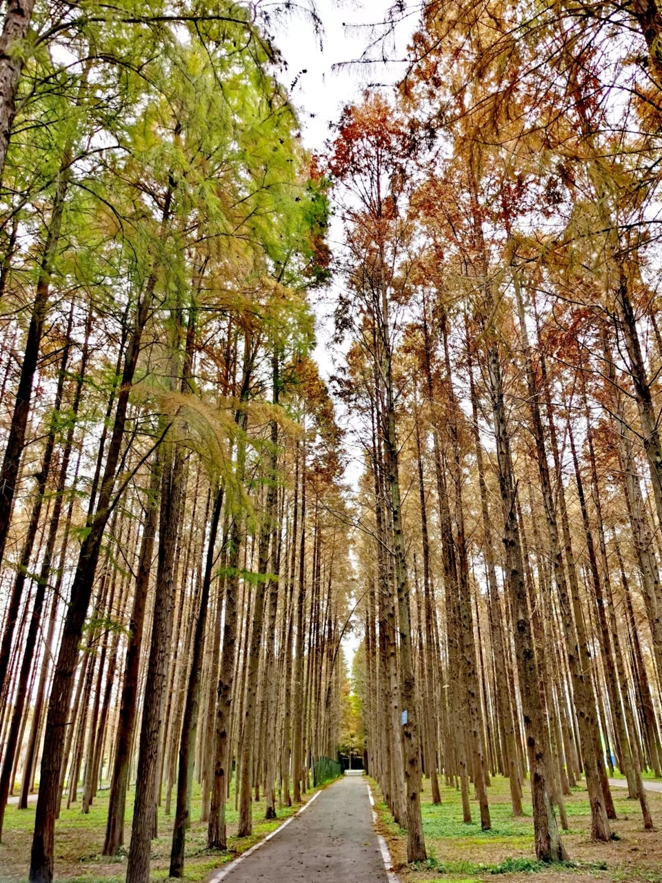 GE-HVJBaXfN1U7gFLvPxK-NCBedZ9qtmH73fpypPaj1EQ2pe7OIG4f9O_GeLvpGR