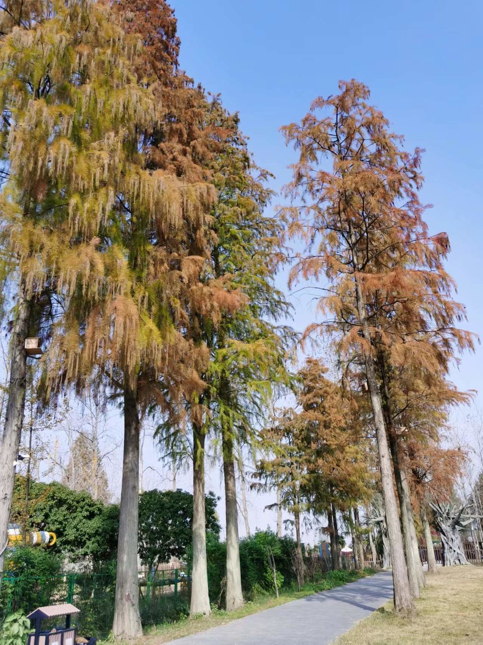 GE-HVJBaXfN1U7gFLvPxK62n6oFTfyixwG6YomVC2Dabl5TbFvMHlgSAET3WDr6j