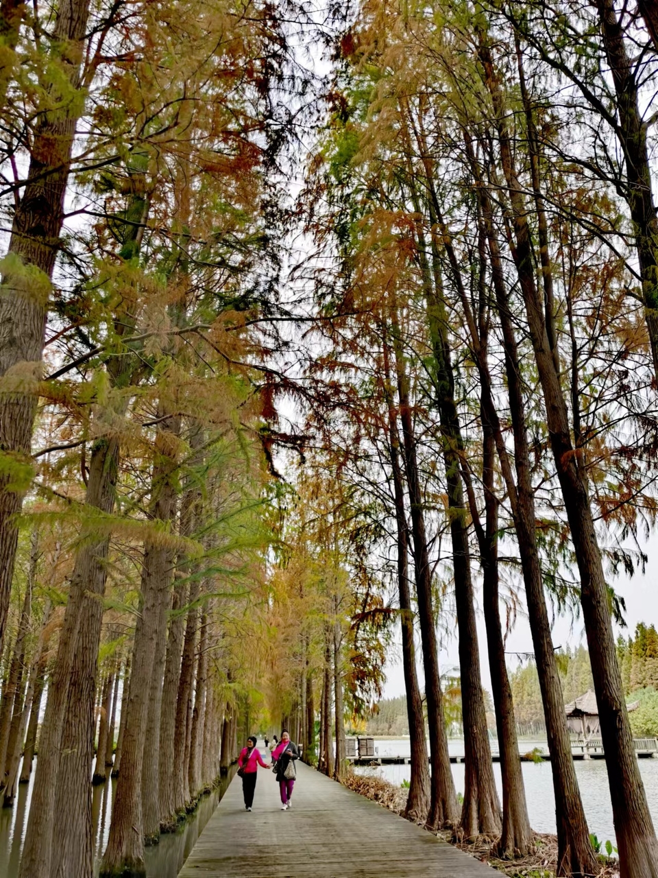 GE-HVJBaXfN1U7gFLvPxKxLzcwEa7iwko5dHXaKI_Zm5eJAtnOahzvfCeOmV75fd