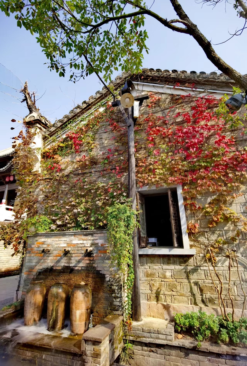 GE-HVJBaXfN1U7gFLvPxK3GKLFGg0JBK5A7o2nmHjiccMw9ey38eDfACamo6CyCx