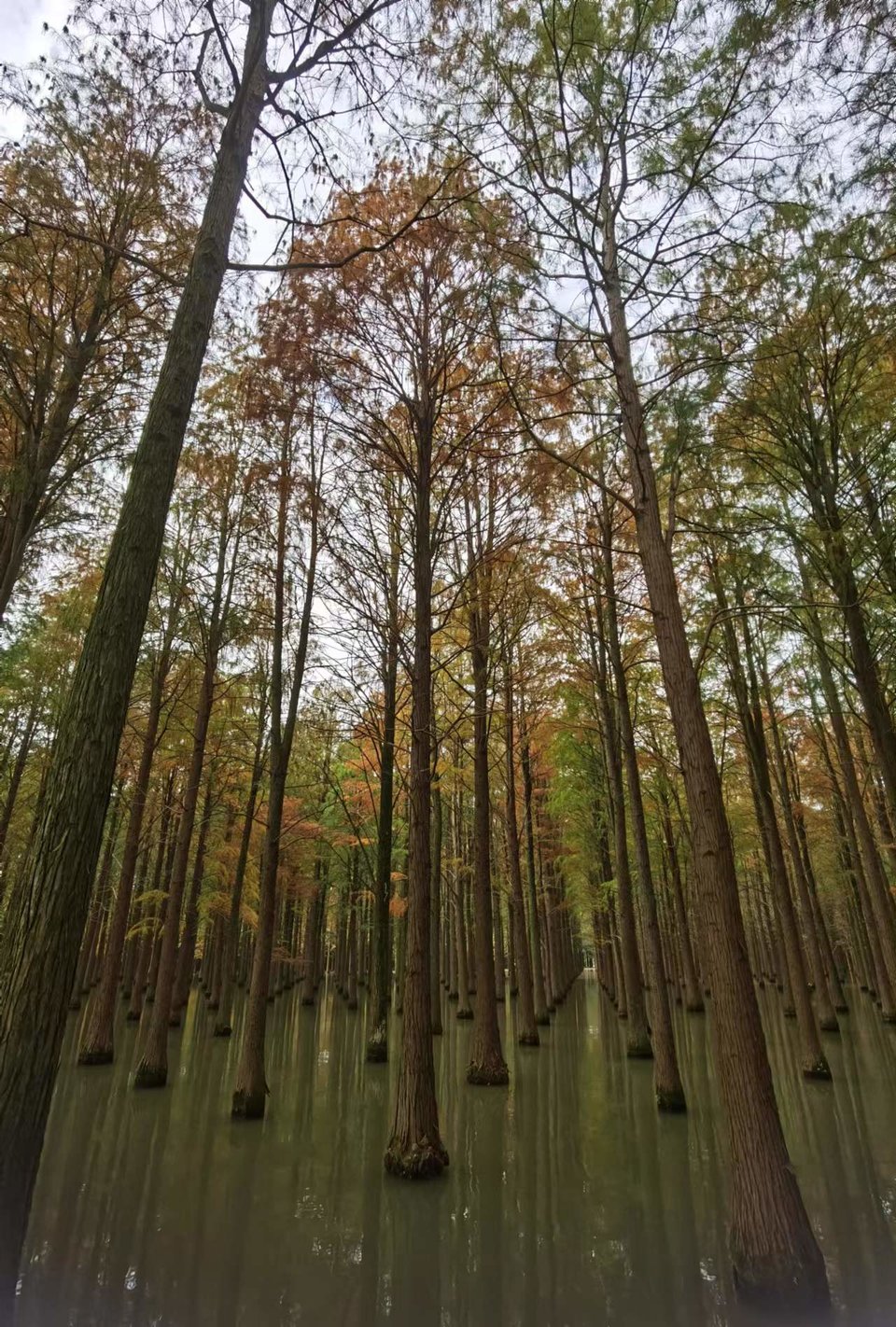 GE-HVJBaXfN1U7gFLvPxKzyUOYkqUAfgha944fXS_v9Vj1u_gM8lAtCsHNA4rcJ-