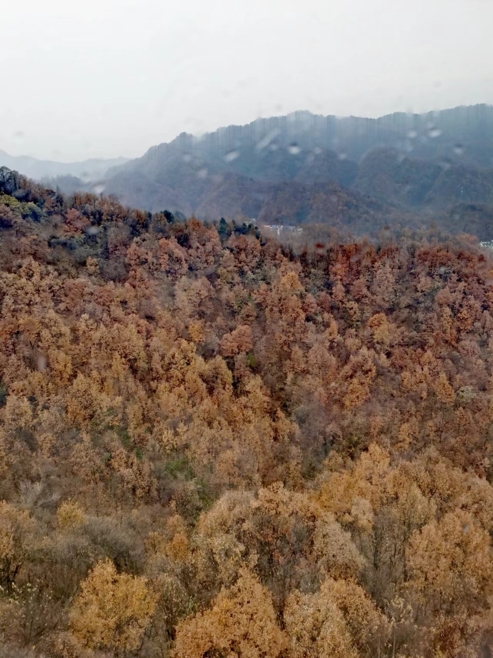 GE-HVJBaXfN1U7gFLvPxKw4aHurXR-dxo5-IaWvZlusactf2X9UJ_dUlHLq7sIkN