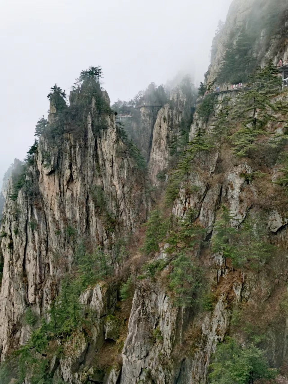 GE-HVJBaXfN1U7gFLvPxK39jvZekP-DBfc8xV9Pm4V7_9ZMHM7jHtgMrZqzSutgq