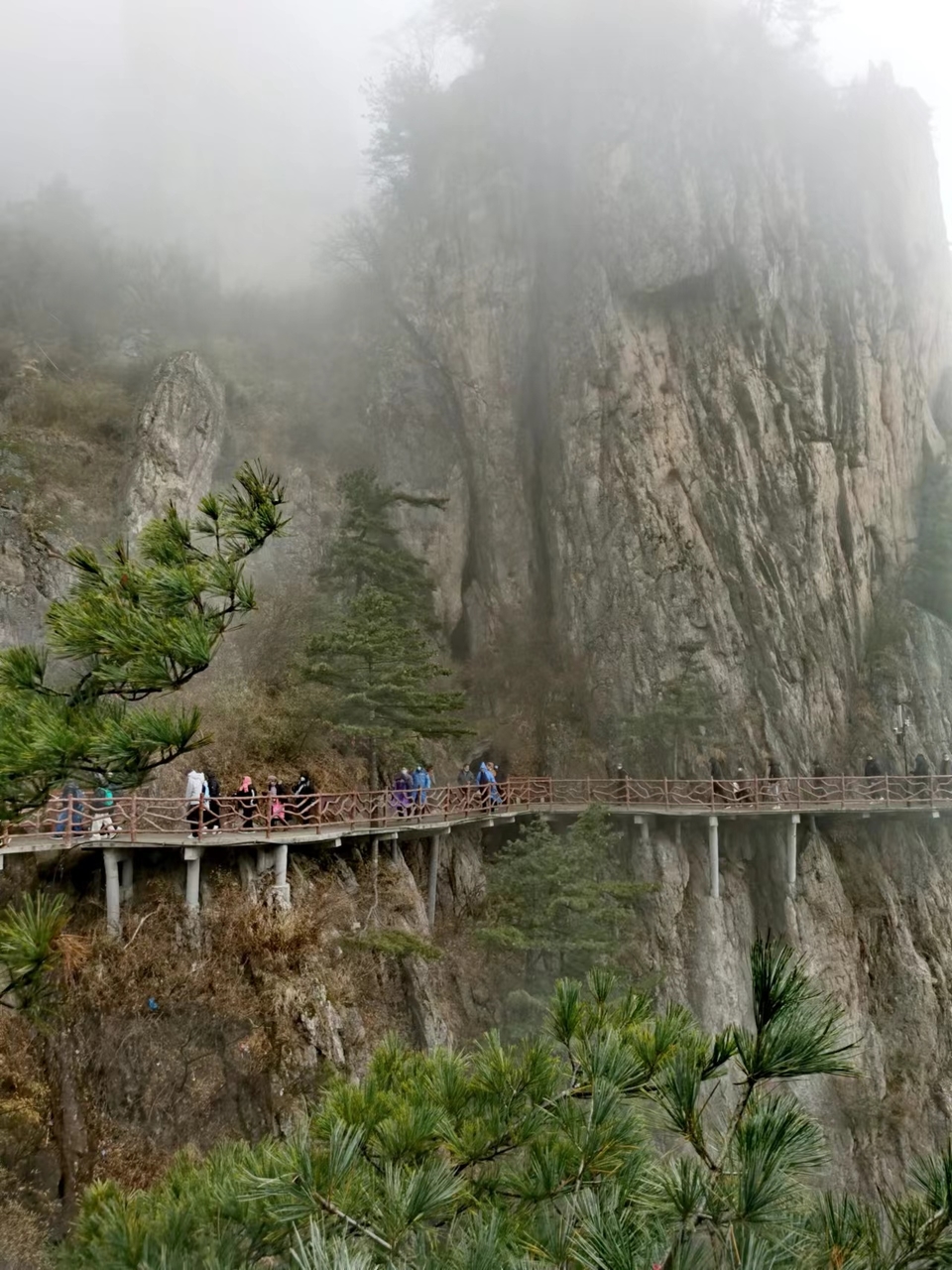 GE-HVJBaXfN1U7gFLvPxKwkeS-nXhIrtzM42zU-c-yUJg9ndyYp5FwKtnWLXD500