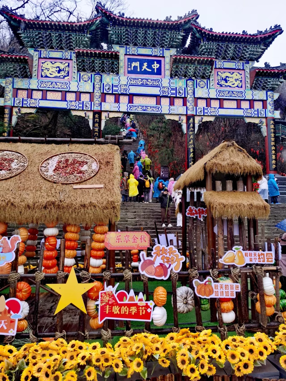 GE-HVJBaXfN1U7gFLvPxK_KFmH-n5WMB62oPA4aINrGRPKj0YIIIAoxdDkQyf9xK