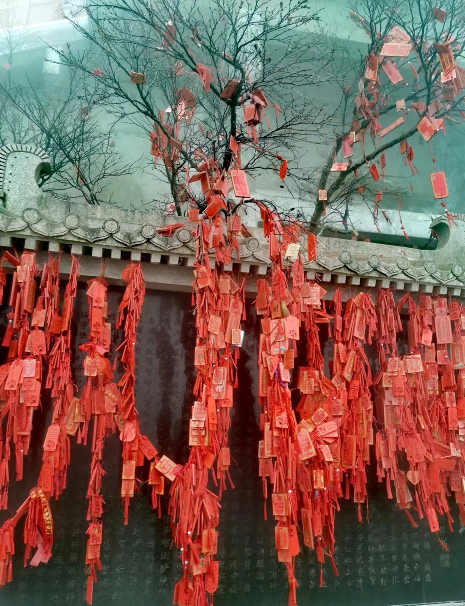 GE-HVJBaXfN1U7gFLvPxK-iu7Pvfd1WNhFW2JJbTMxhclZSR1_A4ylWvWGKgREYa