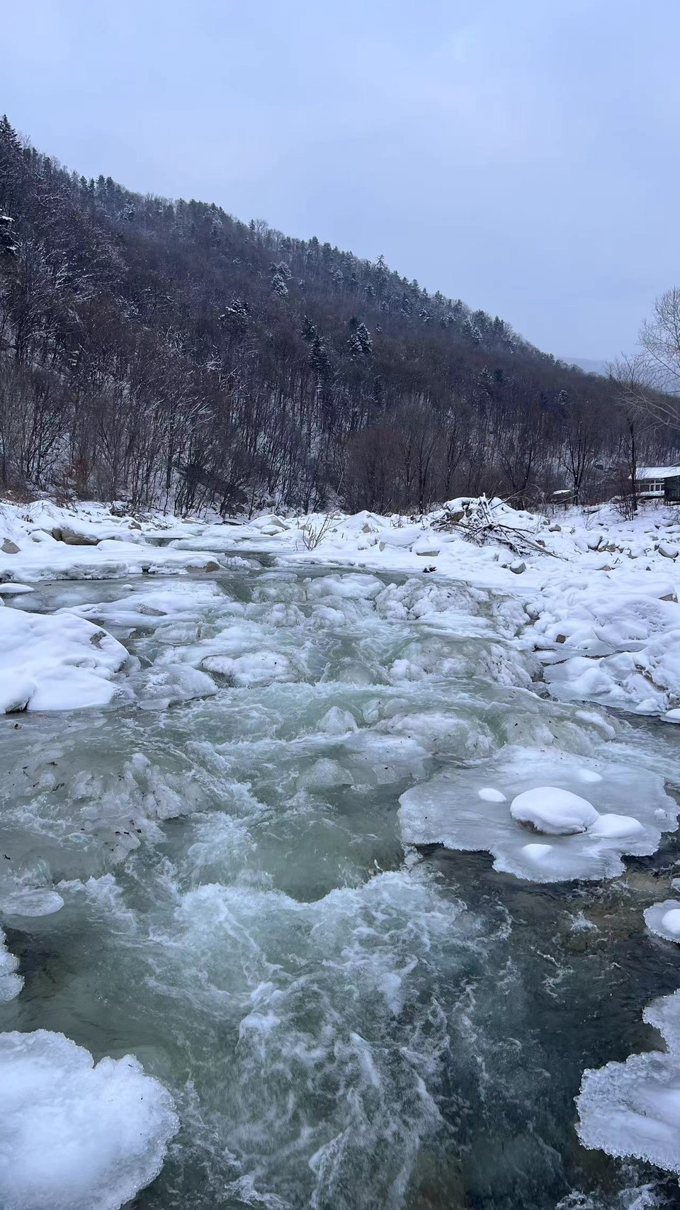 8Fr4YTd2pSegNu8LLeVh-6W8Wp99Ujo-Xg3sW93QuQJs8la3pSOWdNfewSl6MuY4