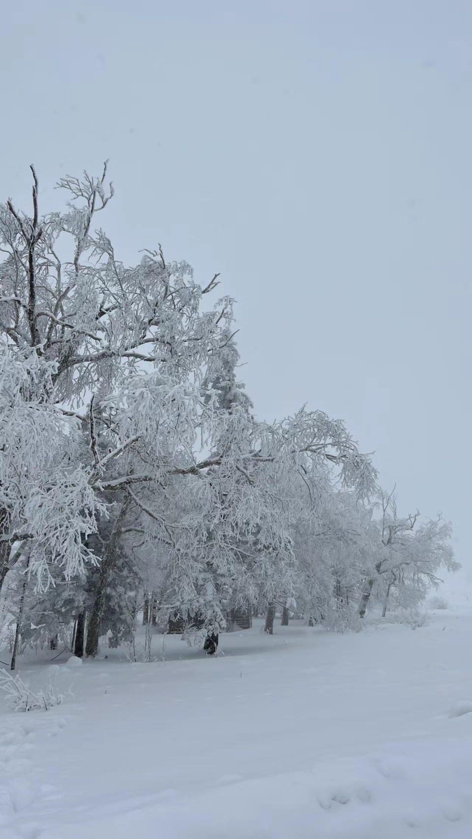 XphwQ_j4U8ImF8bxG13xUsmgYYfomnqiMzfOACq56VqG5OxRnUiEOIdGpRJb-qOK