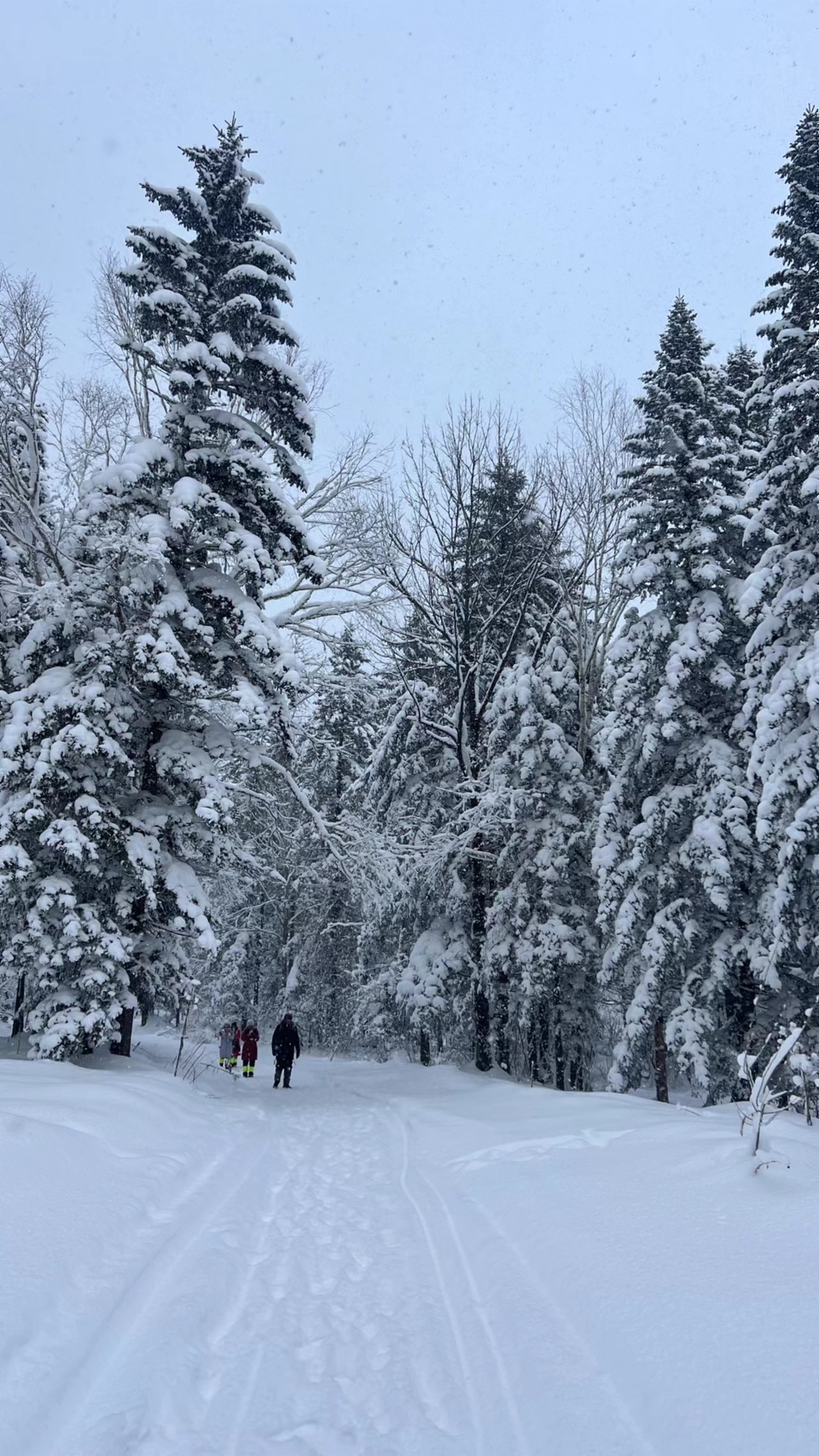 XphwQ_j4U8ImF8bxG13xUiw28qU3S21Gp2GVo2_tXDiM8TEOeF8P_txiqRWNR2U7