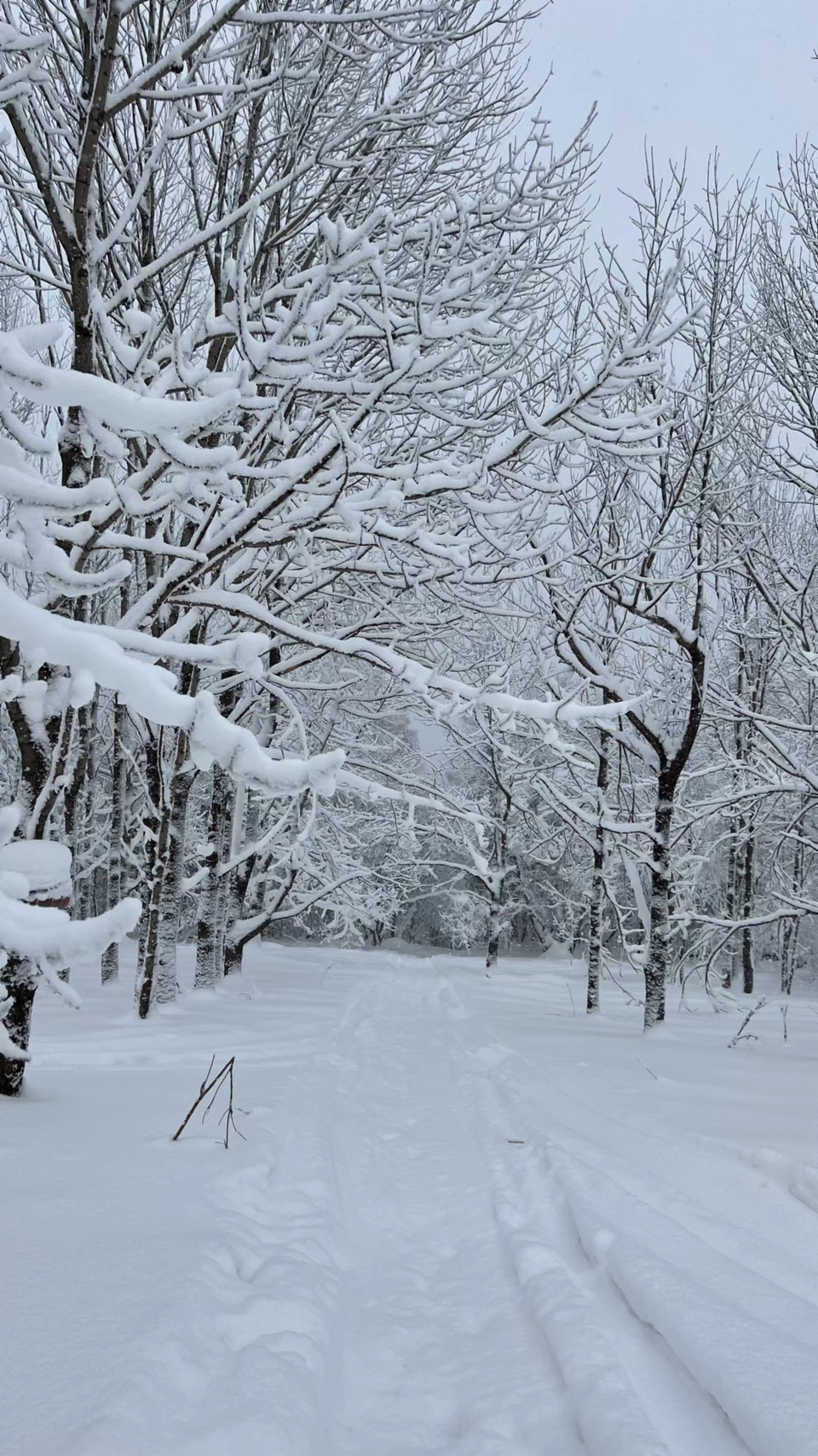 XphwQ_j4U8ImF8bxG13xUi5XYR2dk6H1FuOX5x5aVC9bLjSCzw-FS3xEiTzWD6Zb