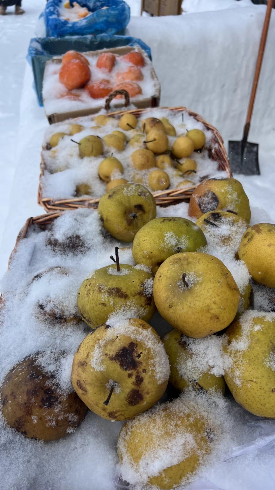 XphwQ_j4U8ImF8bxG13xUk8H_WlFnfImDbrZMP_6Q2uADcGnHUhinZTQa0pDvQil