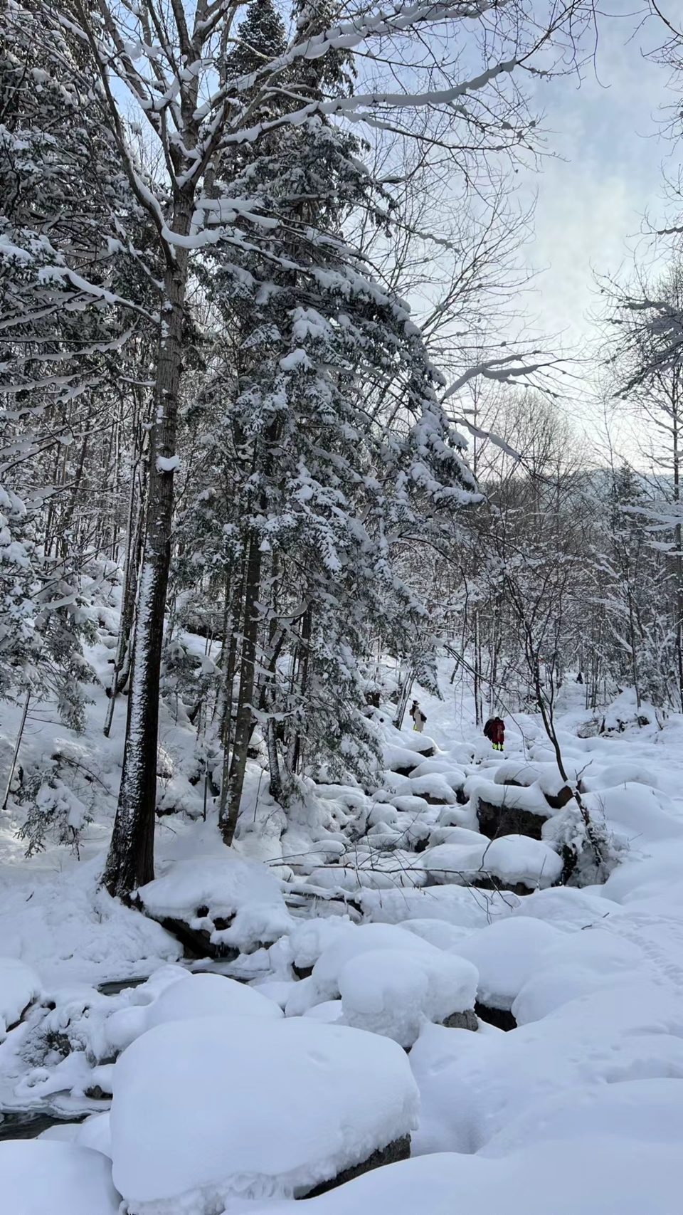 XphwQ_j4U8ImF8bxG13xUpejuxXAMvGH50O_BOEs9B8SHLs62O1dmMewMGpPePFb