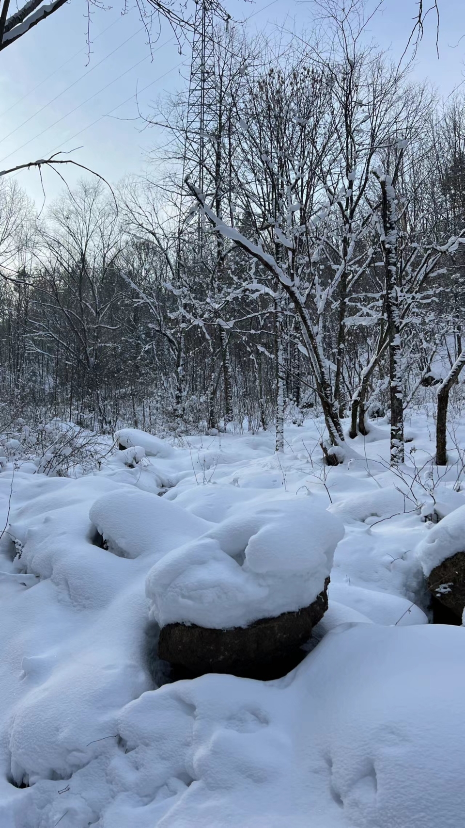 XphwQ_j4U8ImF8bxG13xUqTvZg4deeVOJ8kGhkzJ83qtaJELdYSG0twuKoPv17hJ