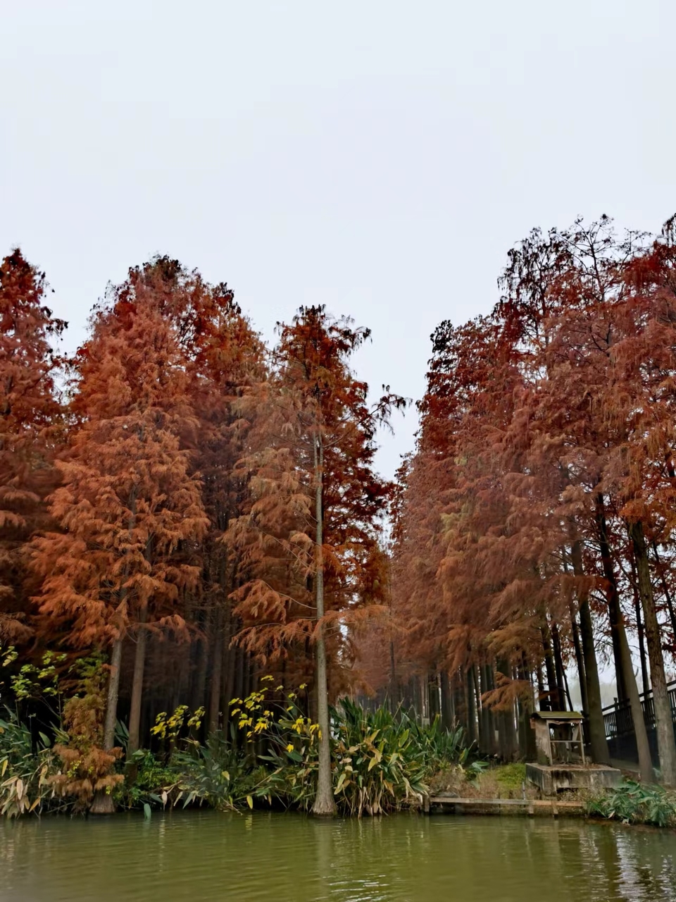 mjYyE6DaB0KLsKBXX1VRK7utSPdn3QLvaT-5G0zuz_qJW-iT5GgWmw_H4ndbaDeJ