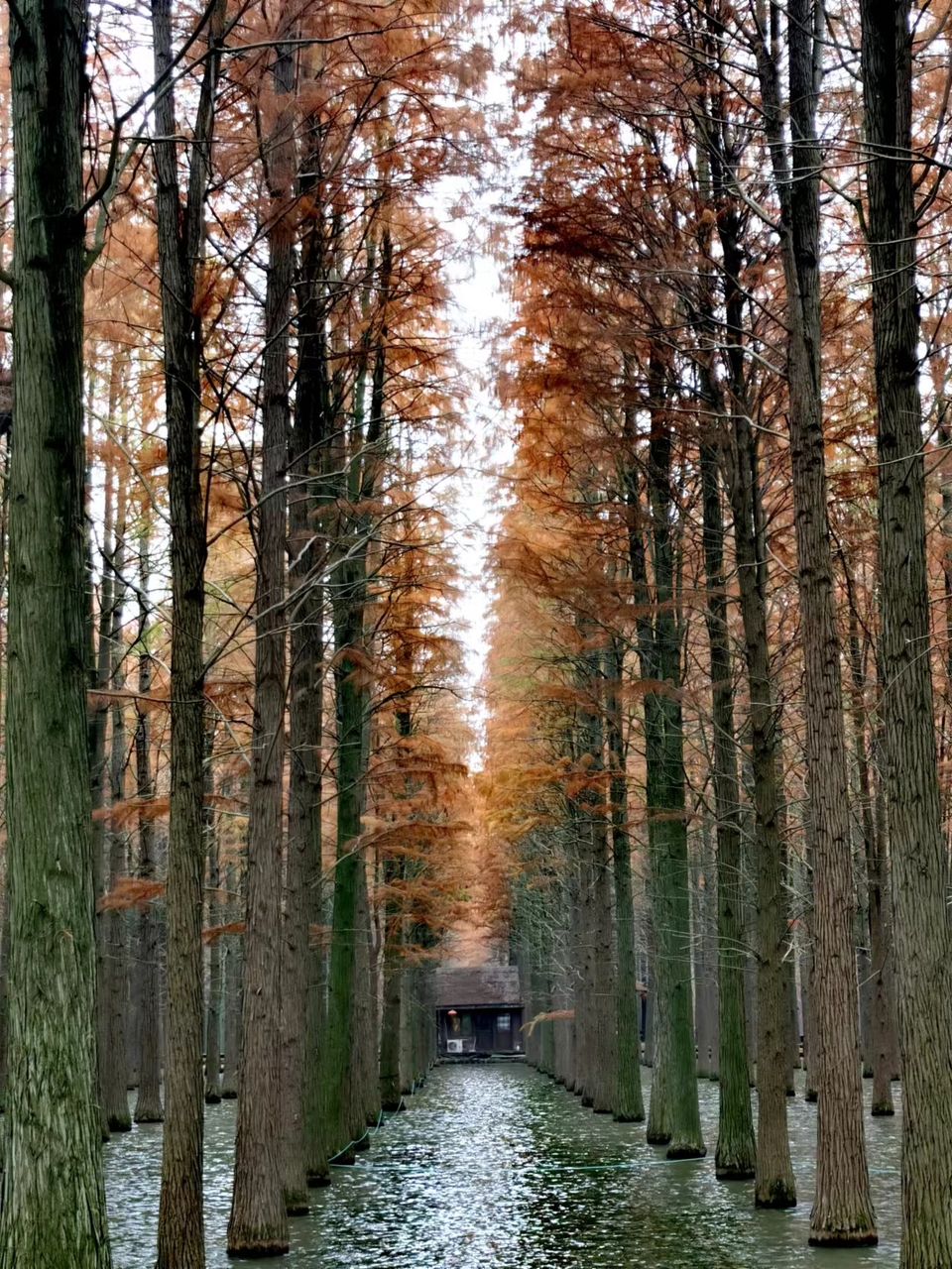 mjYyE6DaB0KLsKBXX1VRK9F6Sz3R-K9lcSU86BjJLXnN_1W_H2k7U5Vtj1g0X0q7