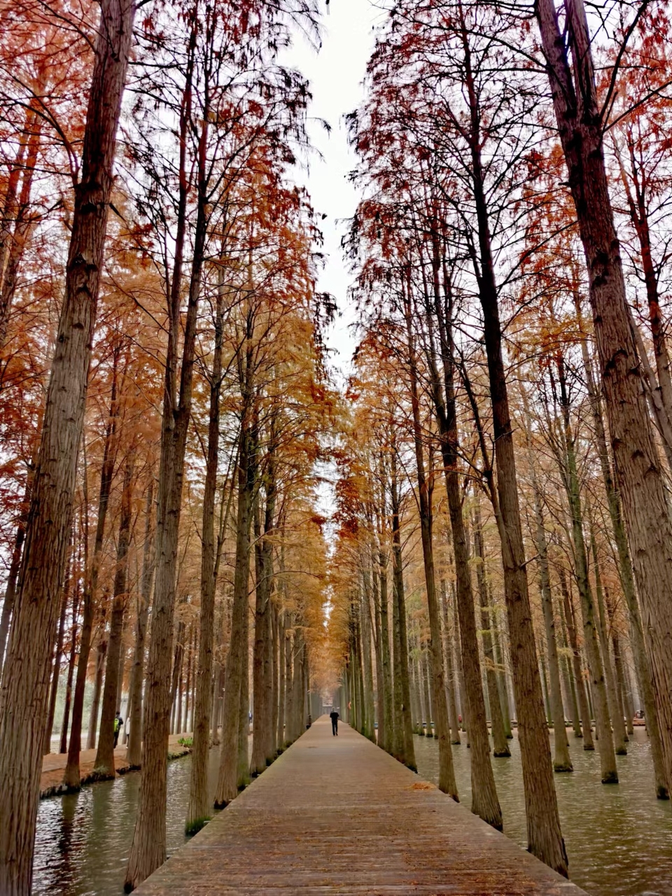 mjYyE6DaB0KLsKBXX1VRK1eUR0qkO3-N3TdS76Ga4GhNnUjakeD-mKiA9xSxKpNS