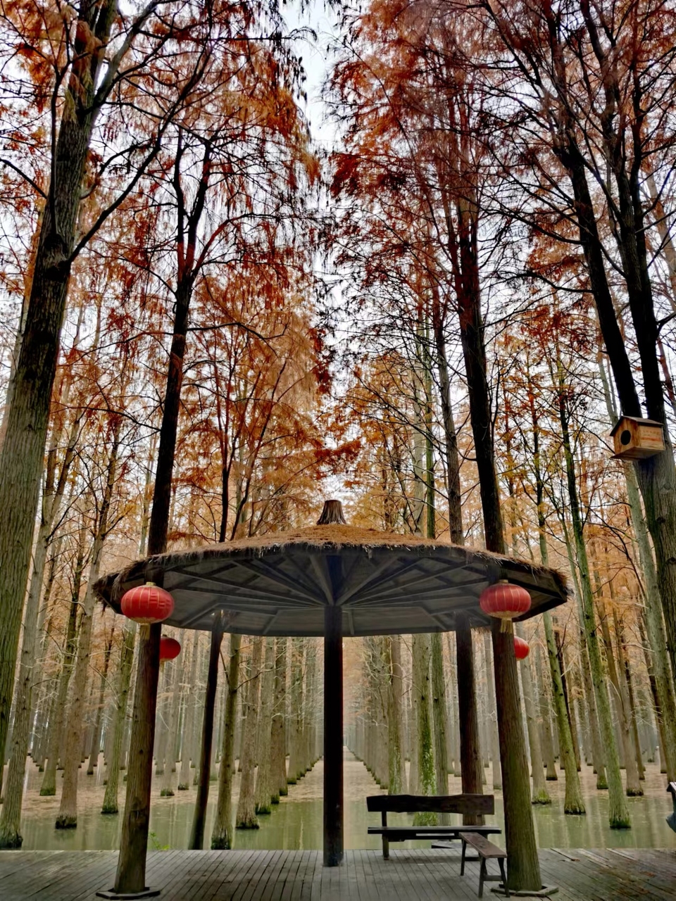 mjYyE6DaB0KLsKBXX1VRK2OWmYgmG_ELLaTxWZAM24W_GEOew5hHZVqyXOi6Xgw9