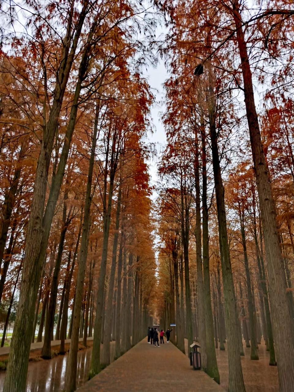 mjYyE6DaB0KLsKBXX1VRK7PmZiN6uOBYvrhYxMuJVX_yw4dDgmf6GSsl43c41fnK