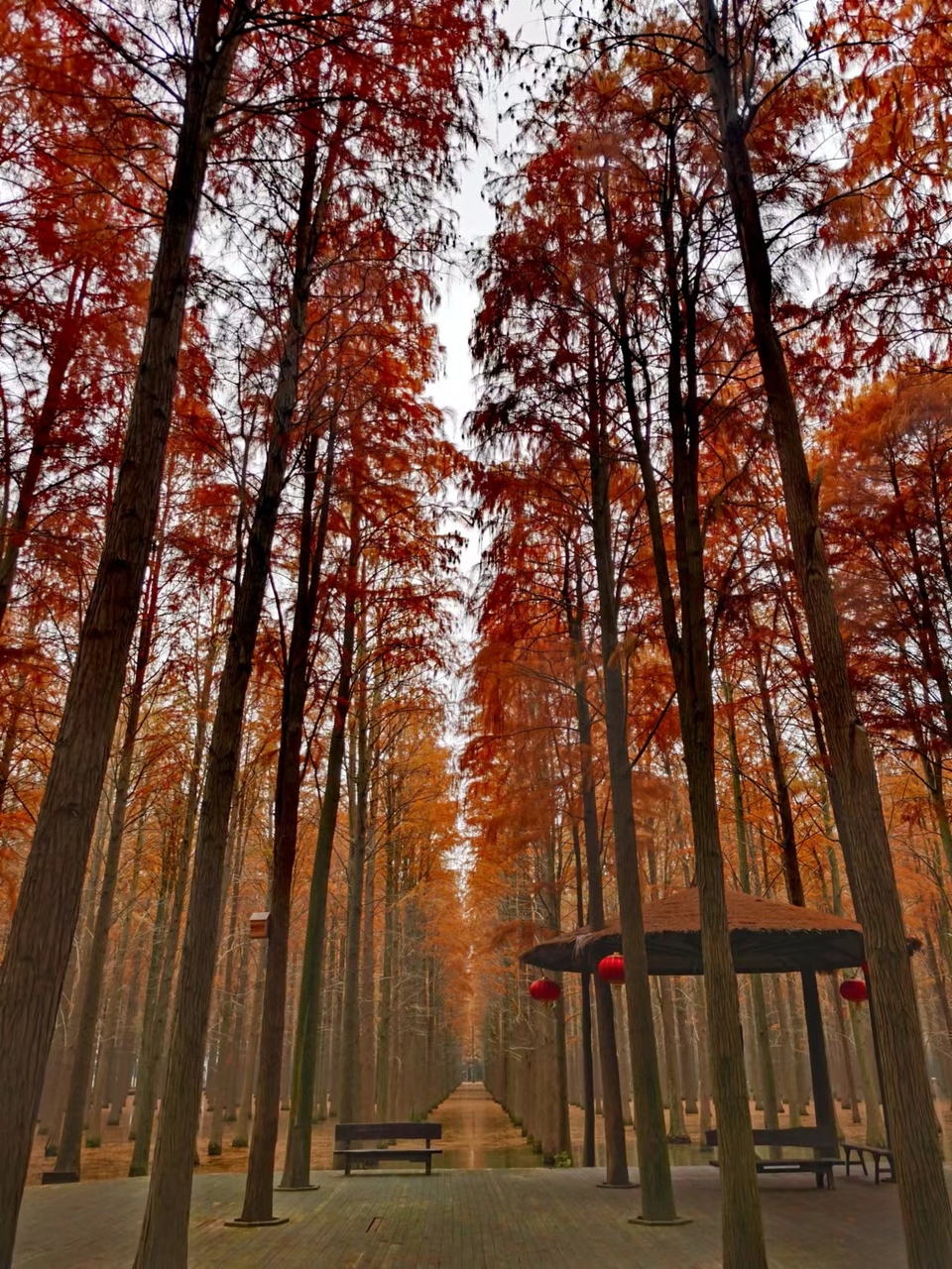 mjYyE6DaB0KLsKBXX1VRK0BRhgkicFIQSra8HR88StPbJqX6h9EoBsmP_ixOoXmI