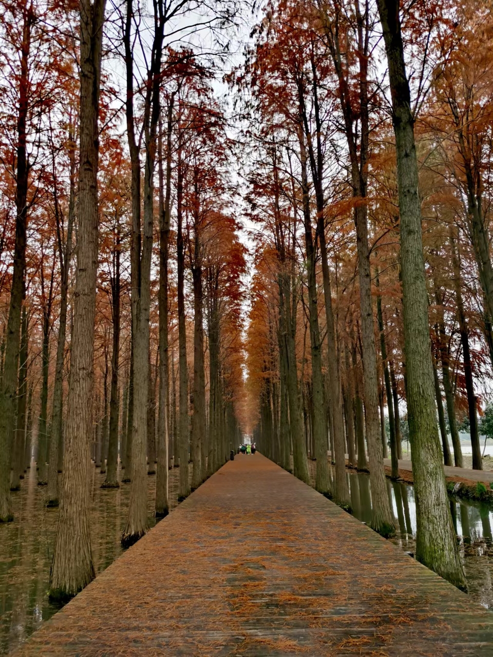 mjYyE6DaB0KLsKBXX1VRK3hvcR8Oerrz2haYzM7Y0sKTed-KMvCZfqbdXJII6dr1